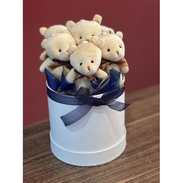 Peluş ayı kutusu